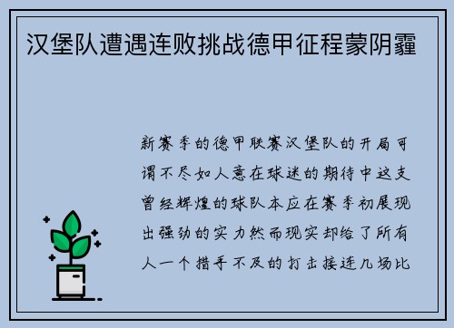 汉堡队遭遇连败挑战德甲征程蒙阴霾